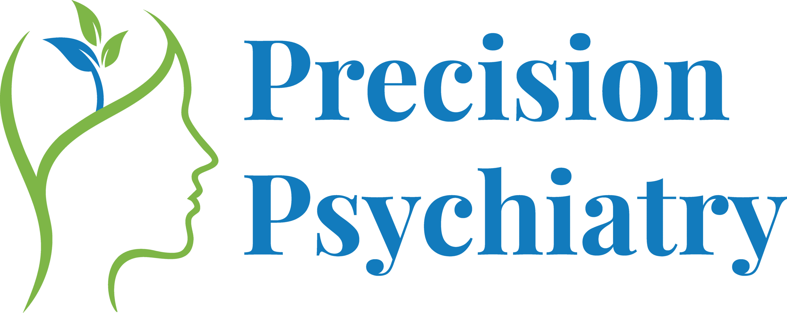 Precision Logo